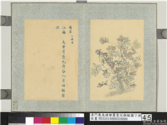 清门应兆补绘萧云从离骚图下册　册　香草,绘画,花草