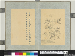 清门应兆补绘萧云从离骚图下册　册　白芷,绘画,花草