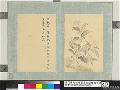 清门应兆补绘萧云从离骚图下册　册　秋兰,绘画,花草