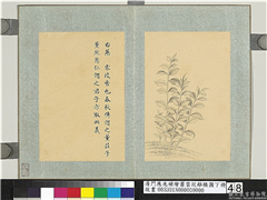 清门应兆补绘萧云从离骚图下册　册　零陵香,绘画,花草