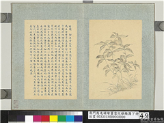 清门应兆补绘萧云从离骚图下册　册　都梁香,绘画,花草