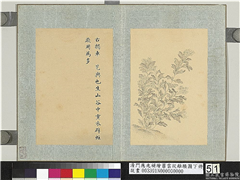 清门应兆补绘萧云从离骚图下册　册　艺舆,绘画,花草