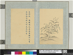 清门应兆补绘萧云从离骚图下册　册　杜衡（马蹄香）,绘画,花草