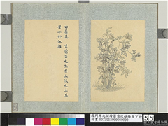 清门应兆补绘萧云从离骚图下册　册　蘪芜,绘画,花草