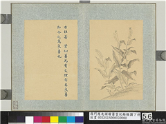 清门应兆补绘萧云从离骚图下册　册　杜若,绘画,花草