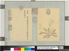清门应兆补绘萧云从离骚图下册　册　荠,绘画,花草
