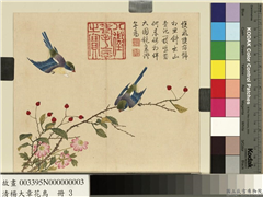 清杨大章花鸟　册　山樝相思鸟,绘画,花草,翎毛