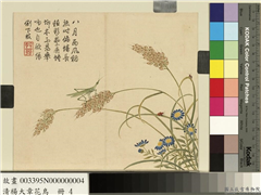 清杨大章花鸟　册　稻穗螳螂,绘画,花草,五谷,草虫