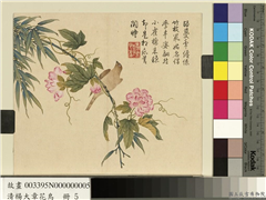 清杨大章花鸟　册　缠枝牡丹黄雀,绘画,树木,花草,翎毛