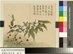 清杨大章花鸟　册　豆花蜻蜓,绘画,花草,果蔬,草虫