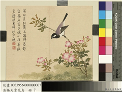 清杨大章花鸟　册　蔷薇子规,绘画,花草,翎毛