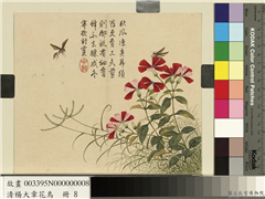 清杨大章花鸟　册　剪秋罗蜜蜂,绘画,花草,草虫