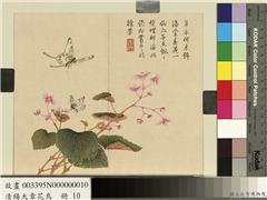 清杨大章花鸟　册　秋海棠蝴蝶,绘画,花草,草虫