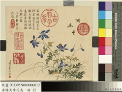 清杨大章花鸟　册　蓝雀花蜜蜂,绘画,花草,草虫