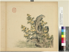 清杨大章仿刁光胤写生　册　秋葵奇石,绘画,山水,花草