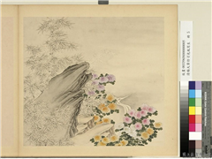 清杨大章仿刁光胤写生　册　竹菊泉石,绘画,树木,花草,山水