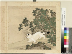 清杨大章仿刁光胤写生　册　柏木山猫,绘画,走兽,树木,山水,草虫