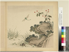 清杨大章仿刁光胤写生　册　秋塘蜻蜓,绘画,草虫,花草,山水,树木