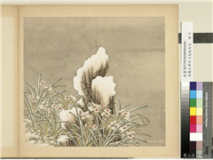 清杨大章仿刁光胤写生　册　水仙倚石,绘画,山水,花草