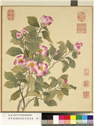 清李秉德临张伟花果鱼鸟　册　山茶,绘画,花草