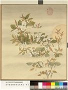 清李秉德临张伟花果鱼鸟　册　月下梨花,绘画,花草,山水