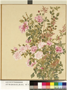 清李秉德临张伟花果鱼鸟　册　月季,绘画,花草