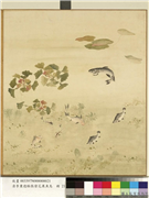 清李秉德临张伟花果鱼鸟　册　菱鱼,绘画,水中动植物