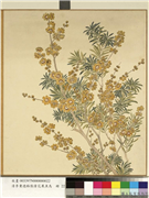 清李秉德临张伟花果鱼鸟　册　腊梅,绘画,花草,树木