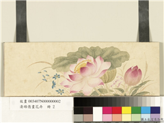 清绵亿画花卉　册　莲花,绘画,花草