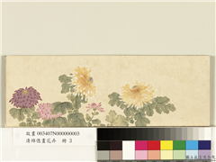 清绵亿画花卉　册　菊花,绘画,花草
