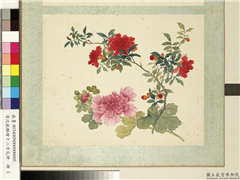 清沈振麟绘十二月花神　册　蜀葵石榴,绘画,花草