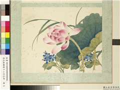 清沈振麟绘十二月花神　册　莲花,绘画,花草