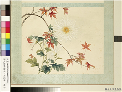 清沈振麟绘十二月花神　册　菊花枫树,绘画,树木,花草