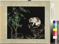 清沈振麟画耄耋同春　册　海棠狸奴,绘画,山水,走兽,花草