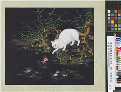 清沈振麟画耄耋同春　册　狸奴鱼藻,绘画,山水,走兽,水中动植物,花草