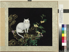 清沈振麟画耄耋同春　册　菊葵狸奴,绘画,走兽,花草,山水