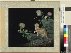 清沈振麟画耄耋同春　册　菊花狸奴,绘画,走兽,山水,花草,草虫