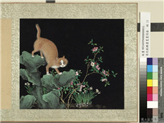 清沈振麟画耄耋同春　册　水仙狸奴,绘画,走兽,山水,花草