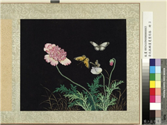 清沈振麟画耄耋同春　册　虞美人,绘画,花草,草虫