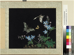 清沈振麟画耄耋同春　册　花蝶,绘画,草虫,花草