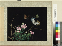 清沈振麟画耄耋同春　册　剪秋罗,绘画,花草,草虫