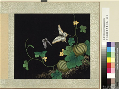 清沈振麟画耄耋同春　册　蝶蛾,绘画,果蔬,草虫