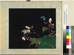 清沈振麟画耄耋同春　册　秋海棠,绘画,花草,草虫