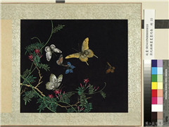 清沈振麟画耄耋同春　册　茑萝,绘画,花草,草虫