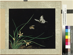 清沈振麟画耄耋同春　册　兰蕙,绘画,花草,草虫