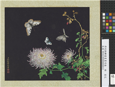 清沈振麟画耄耋同春　册　菊花,绘画,草虫,花草