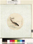 清马文麟画鱼藻　册　鲤鱼,绘画,水中动植物