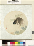 清马文麟画鱼藻　册　金鱼,绘画,水中动植物