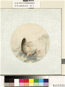 清马文麟画鱼藻　册　鲤鱼,绘画,水中动植物