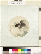 清马文麟画鱼藻　册　金鱼,绘画,水中动植物